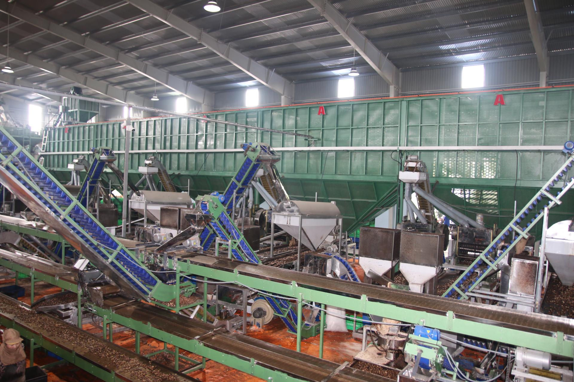 vietnamcashewmachine.vn