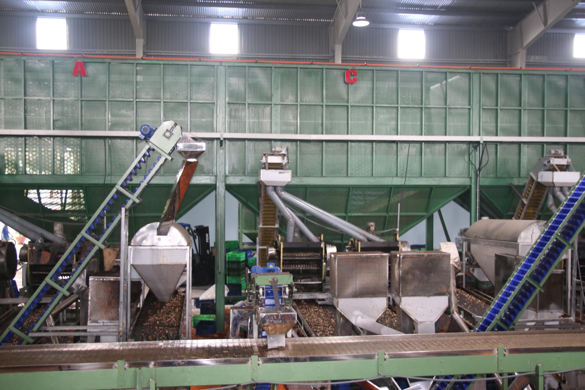 vietnamcashewmachine.vn