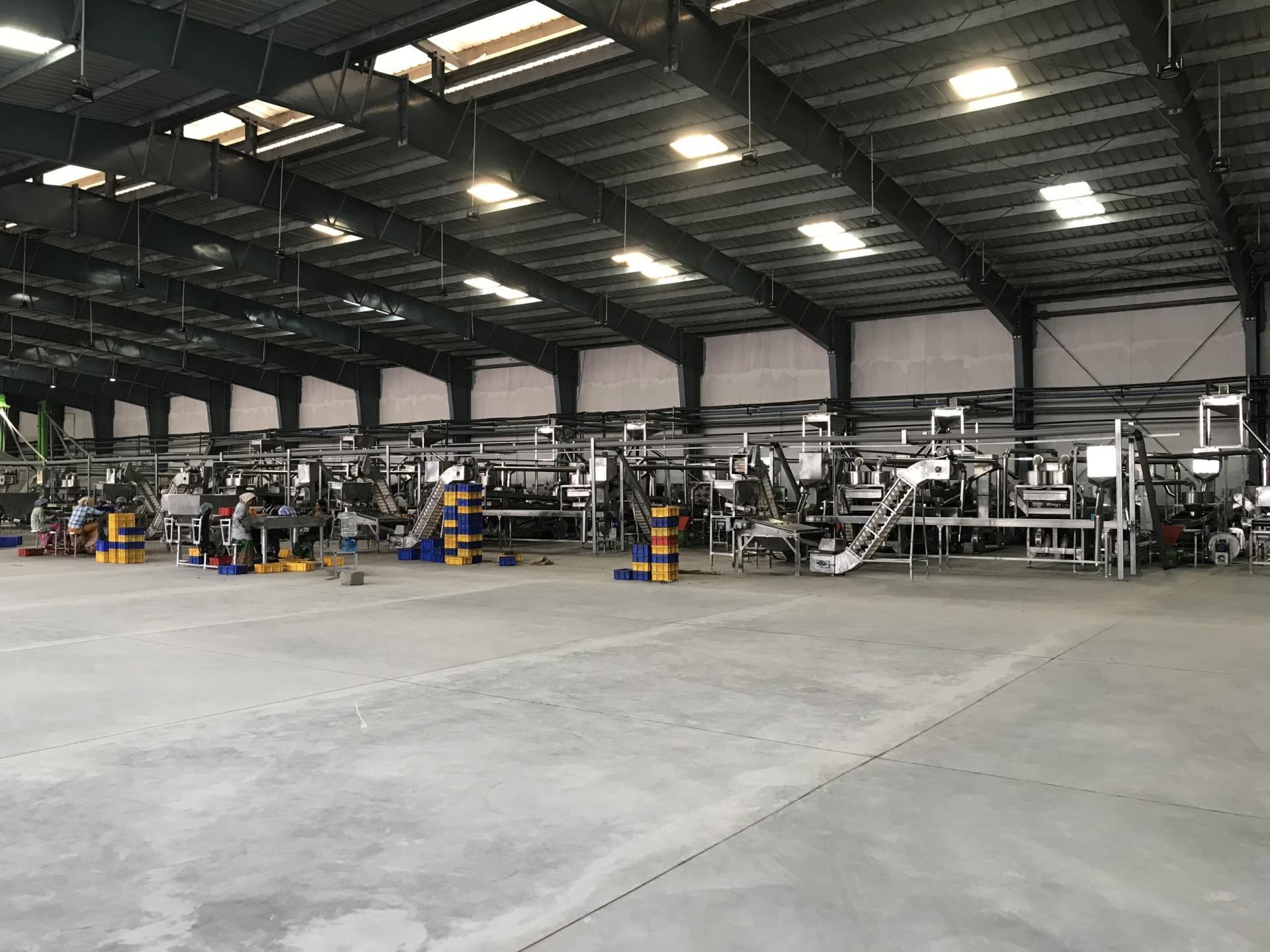 vietnamcashewmachine.vn